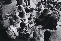 藏品(草藥郎中)的圖片