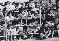 藏品(觀眾)的圖片