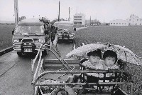 藏品(作品9)的圖片