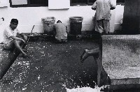 藏品(玉里精神病養護所)的圖片