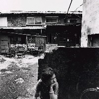 藏品(Love)的圖片