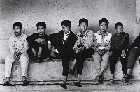 藏品(新港春風少年兄)的圖片