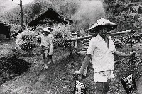 藏品(九份山上)的圖片