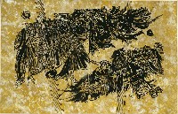 藏品(風箏)的圖片