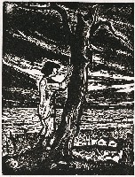 藏品(夢魘)的圖片