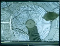 藏品(籠)的圖片