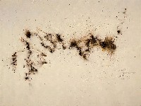 藏品(不破不立-引爆臺灣省立美術館(草圖))的圖片