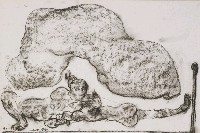 藏品(雲毯)的圖片