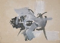 藏品(作品1260)的圖片