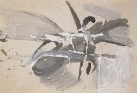 藏品(作品1521)的圖片