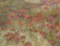 藏品(曼殊沙華)的圖片