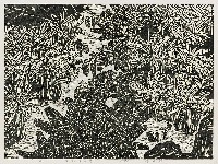 藏品(田野香蕉香)的圖片