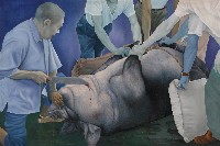 藏品(合理的虐殺)的圖片