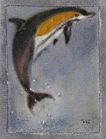 藏品(海王子-海豚)的圖片