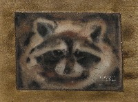 藏品(浣熊)的圖片