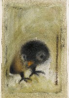 藏品(盲鳥---向Grave致敬)的圖片