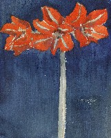 藏品(石蒜)的圖片