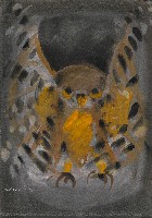 藏品(夜獵者Ⅰ)的圖片