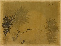 藏品(蟬竹)的圖片