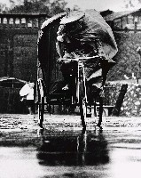 藏品(颱風那一天)的圖片