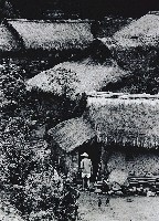 藏品(茅舍)的圖片