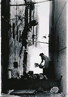 藏品(陋巷)的圖片