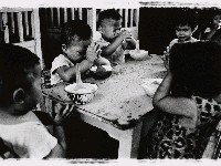 藏品(感恩)的圖片