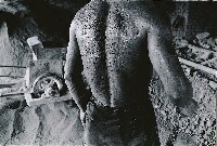 藏品(礦夫)的圖片