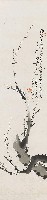 藏品(梅)的圖片