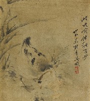 藏品(鴨)的圖片