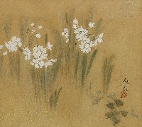 藏品(水仙)的圖片