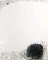 藏品(黑色的太陽)的圖片