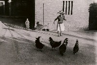 藏品(曬場即景)的圖片