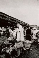 藏品(斤斤計較)的圖片