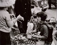 藏品(斤斤計較)的圖片