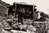 藏品(工作)的圖片