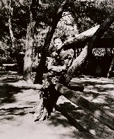 藏品(穿旗袍的小姐)的圖片