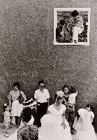 藏品(窗)的圖片