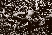 藏品(製舟前上山取材)的圖片