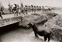 藏品(恭候大甲媽祖的水牛)的圖片