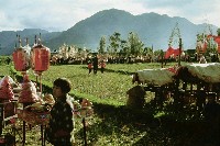 藏品(醮)的圖片