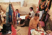 藏品(家)的圖片