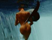 藏品(海豚水舞(二))的圖片