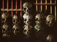 藏品(OVER-II)的圖片