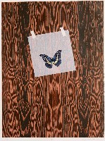 藏品(憶)的圖片