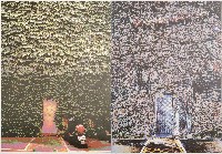 藏品(榮與枯)的圖片