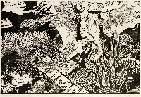 藏品(水族物語-陸沈篇I)的圖片