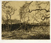 藏品(憂鬱)的圖片