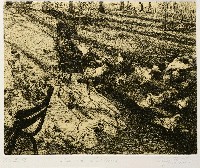 藏品(生命他方)的圖片