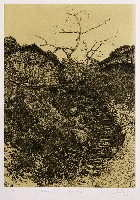 藏品(風雨前)的圖片